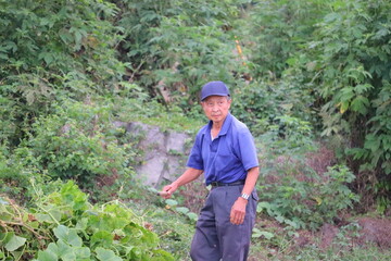 畑仕事に励むシニア男性 草取り作業