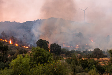 Thick Smoke Rises from a Wildfire in a Dry, Arid Landscape