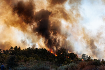 Massive Plume of Dark Smoke Billows from a Forest Fire in Portugal