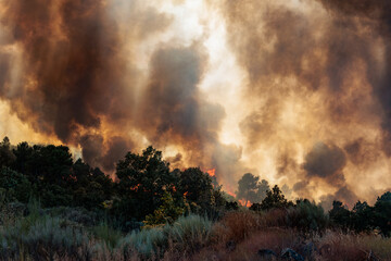 Massive Plume of Dark Smoke Billows from a Forest Fire in Portugal