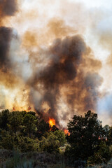 Massive Plume of Dark Smoke Billows from a Forest Fire in Portugal