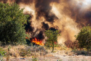 Massive Plume of Dark Smoke Billows from a Forest Fire in Portugal