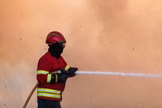 Portuguese Firefighters Battle Wildfires at Sunset