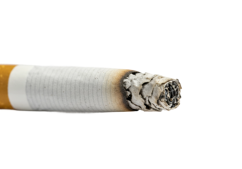 Action of still life indoor setting macro health impact. Cut out PNG