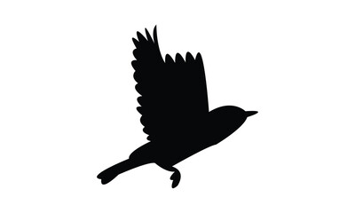 Obraz premium Flying American yellow warbler bird Silhouette Design And Vector Illustration. 