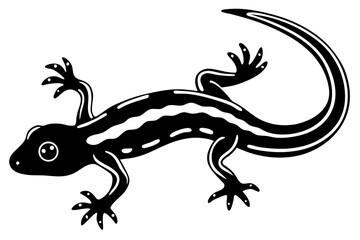 Lizard, reptile, or gecko isolated on a white background