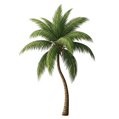 Illustration of a single green palm tree with large fronds and a curved trunk, isolated on a transparent background, representing a tropical paradise and summer vacation destination