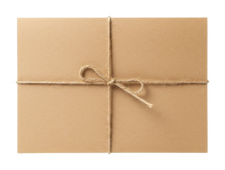 Gift-wrapped package delivery home setting product natural light surprise concept. Cut out PNG