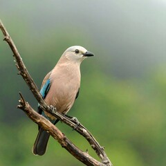Bird perched on branch (3)