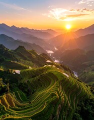 Sunrise over terraced rice paddies