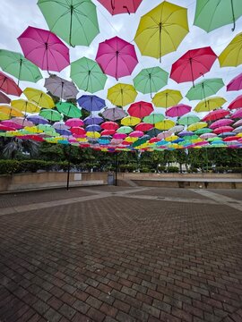 David Panama | colorful umbrellas in the street