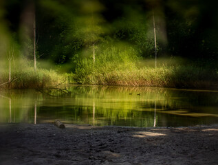 Staw w ciemnym lesie wieczorową porą