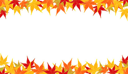 Maple Design_Horizontal_Top and bottom frames