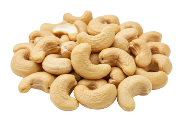 Delicious cashew nut harvesting farm food natural setting nutritious snack. Cut out PNG