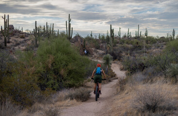 Female Mountain Biker Heading Up Desert Trail Near Scottsdale, AZ