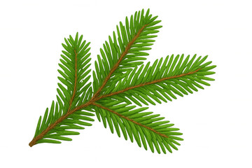 Realistic fir branch isolated on transparent background, evoking the spirit of christmas and winter holidays