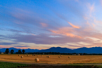 Obraz premium 夕焼け