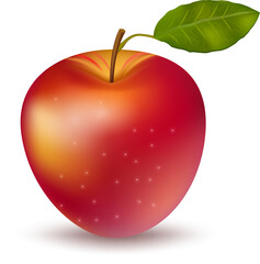 red apple on white background