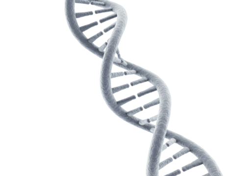 Exploring genetic structures dna helix laboratory setting scientific imagery isolated molecular biology. Cut out PNG