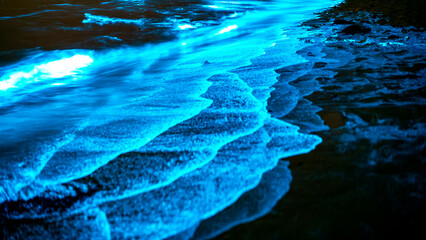 Bioluminescent waves shimmer along the shoreline in New South Wales, Australia, creating a surreal...