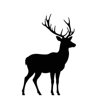 Majestic Stag Silhouette &ndash; Deer Vector with Large Antlers