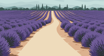 Lavender fields blooming french countryside landscape photography serene environment panoramic view nature's beauty. Vector illustration