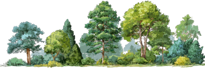 Lush forest scene with various trees (1)