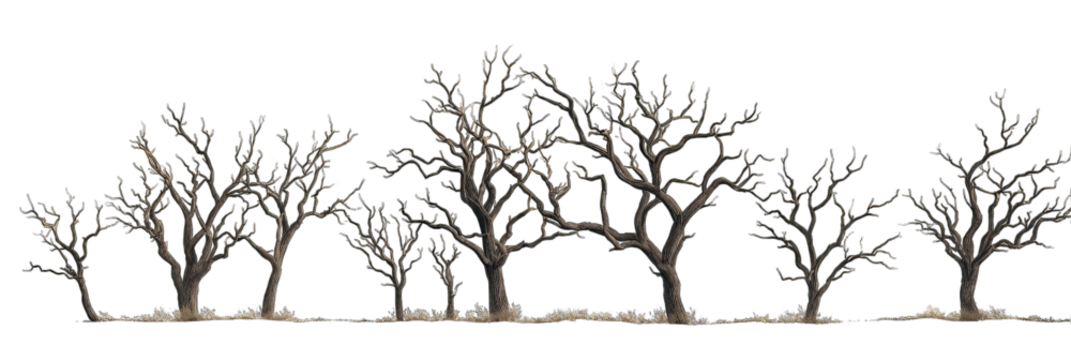 Row of stylized, winter trees with colorful lights