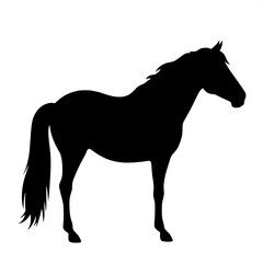 A solid black silhouette of a horse in profile, facing right, with a strong neck and flowing mane simplified into a smooth outline. The body is shown in a calm standing pose, set against a pure white 