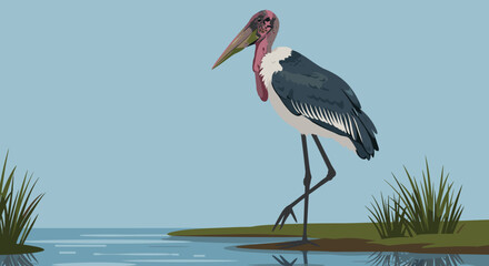 Fototapeta premium Elegant stork walking by the water's edge in a serene natural landscape illustration. Vector illustration