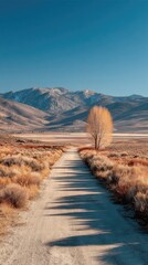 Desert Road to Distant Mountains
