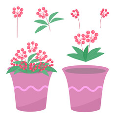 flower, plant, pot, leaves, nature, environment, spring, garden, sticker