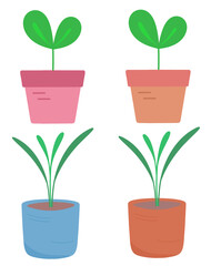 Obraz premium plant, sprout, pot, leaves, nature, environment, sticker