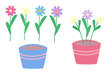 flower, plant, pot, leaves, nature, environment, sticker