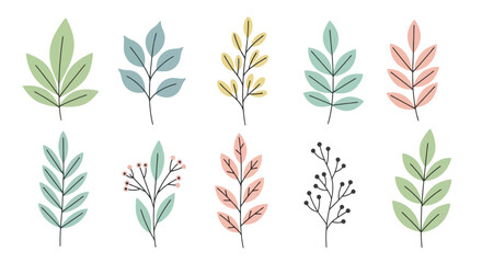 Delicate Botanical Illustrations Showcasing Varied Leaf Shapes and Colors for Decorative Purposes in Art, Design, and Nature-Inspired Creative Projects
