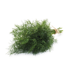 Bunch of fresh dill isolated on white