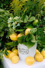 Fresh lemons and green leaves in decorative garden container