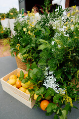 Fresh citrus fruits in lush greenery outdoor arrangement