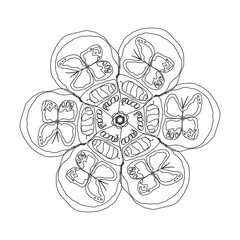 Metamorphosis in a flower