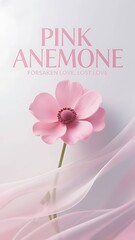 Phone Wallpaper Series : Flower Language - Pink Anemone, means : Forsaken Love, Lost Love 003