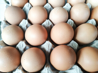 several eggs in a container ready to be marketed