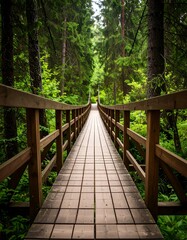 Obraz premium Wooden suspension bridge in a lush forest