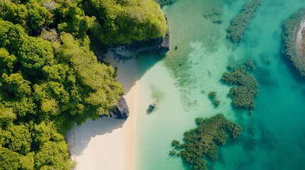 Aerial view of a secluded beach cove with lush green trees and crystal-clear turquoise water