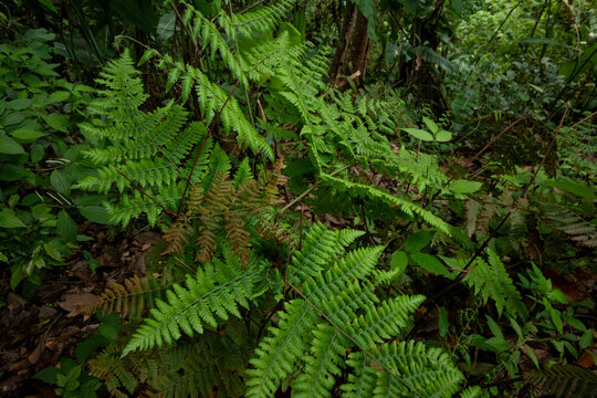 Cuautitl&aacute;n de Garc&iacute;a Barrag&aacute;n
