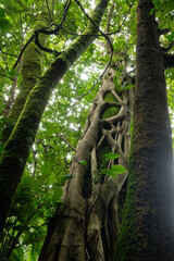 Cuautitl&aacute;n de Garc&iacute;a Barrag&aacute;n