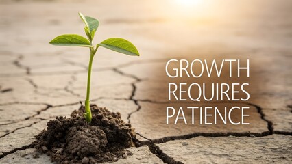 New Plant Sprouting from Dry Soil with Inspirational Quote