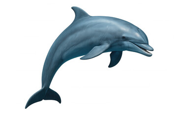 Obraz premium Playful dolphin soaring through transparent space, 3d rendering highlighting sleek body and dynamic marine energy