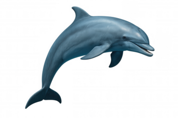 Playful dolphin soaring through transparent space, 3d rendering highlighting sleek body and dynamic marine energy