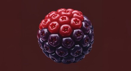 Dark Red Bayberry Vector
