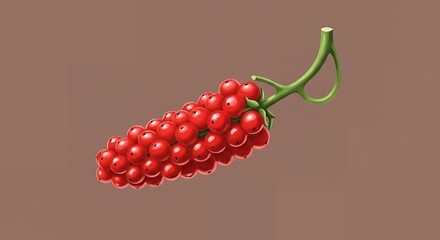 Zigzag Vine Fruit Icon